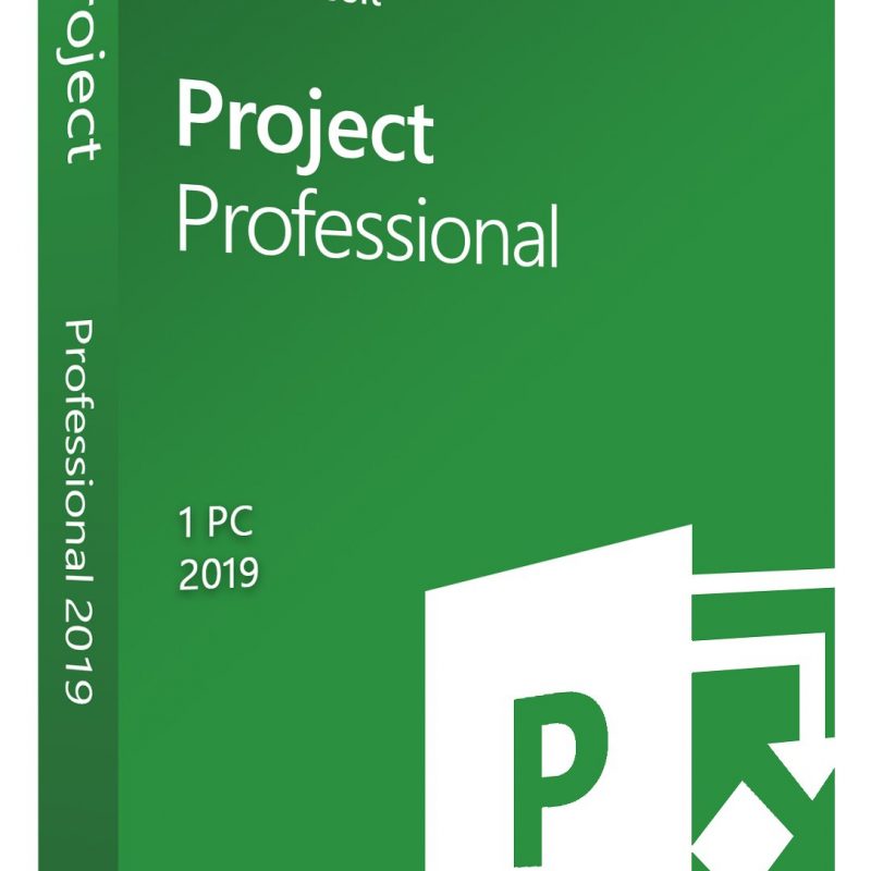 Microsoft project professional